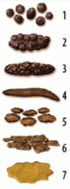 Bristol stool scale neutral.png