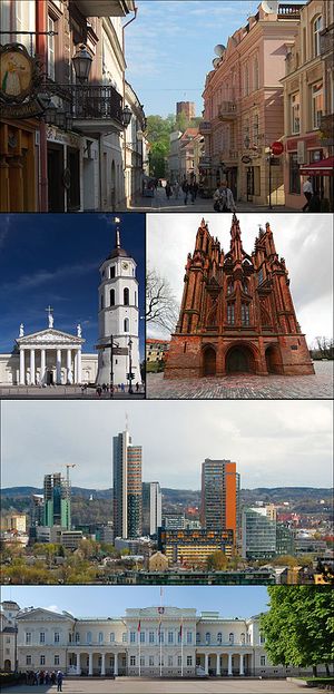 Vilnius montage.jpg